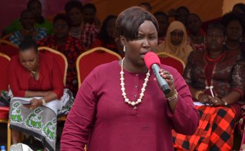 Environment matters: Cabinet Secretary Tobiko Ignores Public Participation MP Charity Kathambi