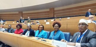 MP Alice Wahome and other leaders