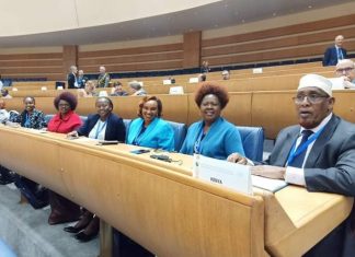 MP Alice Wahome and other leaders