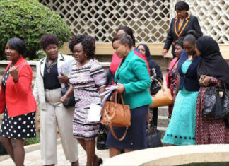 Handbags Kenya Parliament