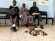 Homa Bay Grandmother Shocks School with 6 Chickens as Fees Payment Homabay Grandmother